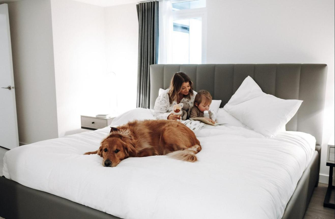 Level Downtown La South Olive Hotel Los Angeles Luaran gambar